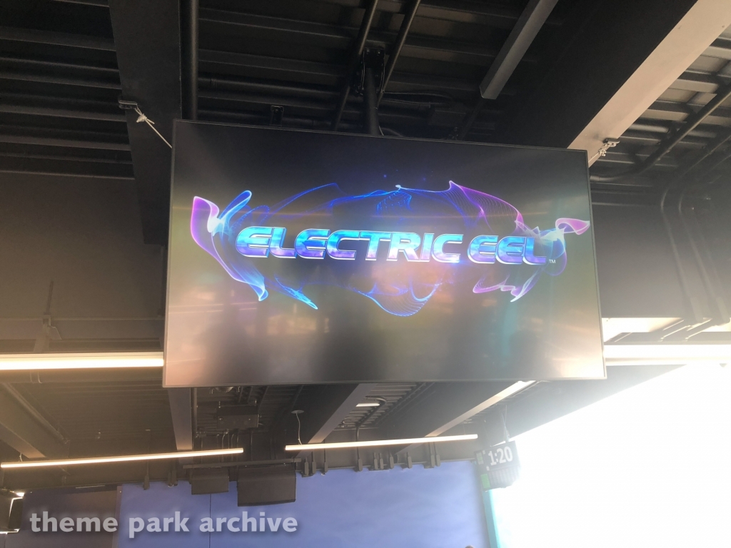 Electric Eel at SeaWorld San Diego