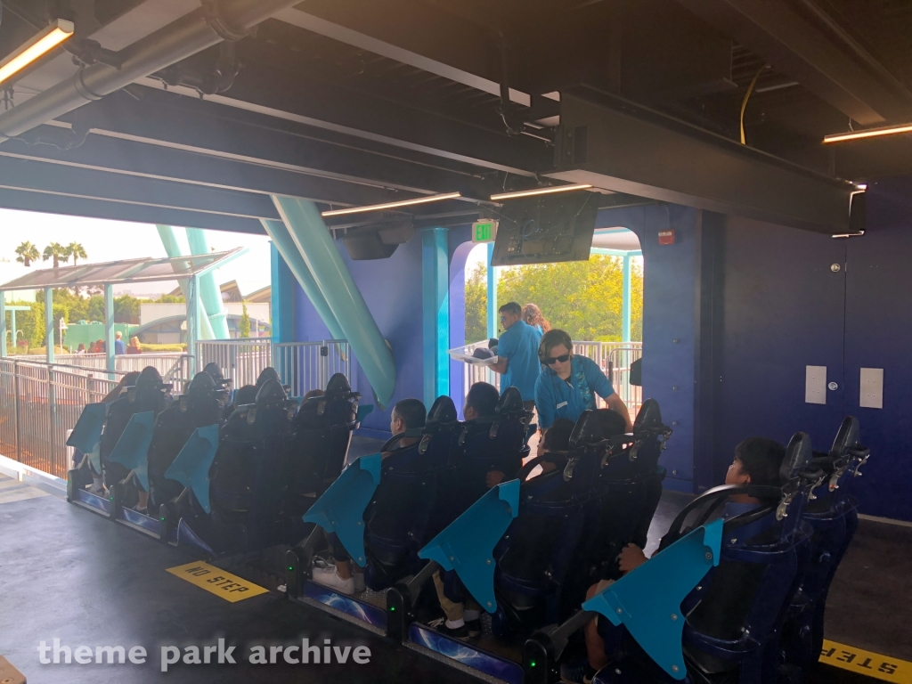 Electric Eel at SeaWorld San Diego