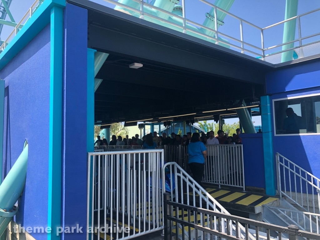 Electric Eel at SeaWorld San Diego