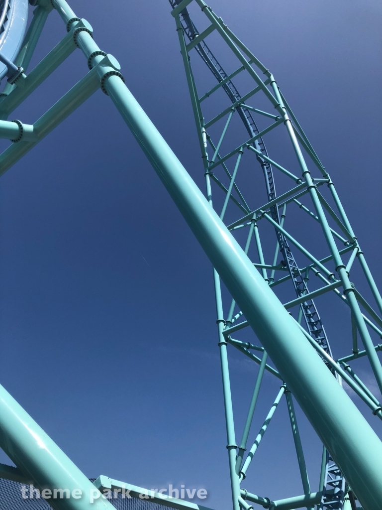 Electric Eel at SeaWorld San Diego