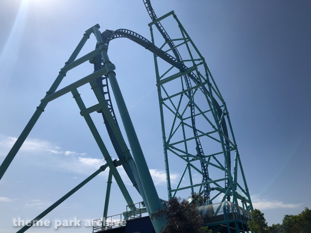 Electric Eel at SeaWorld San Diego