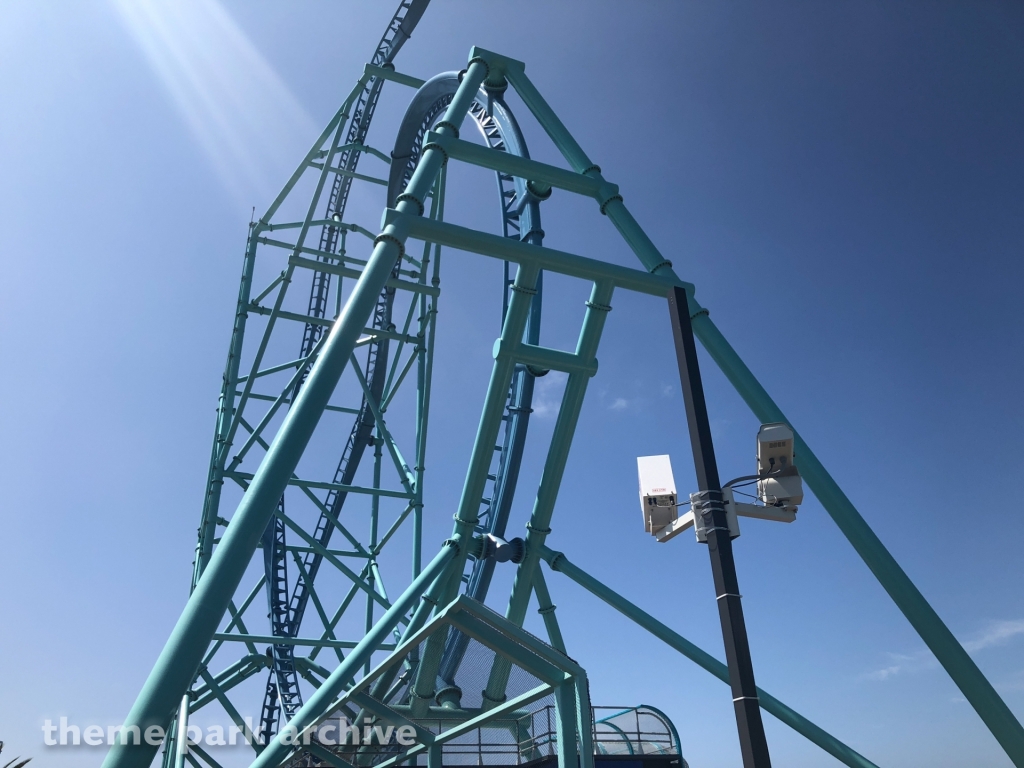 Electric Eel at SeaWorld San Diego