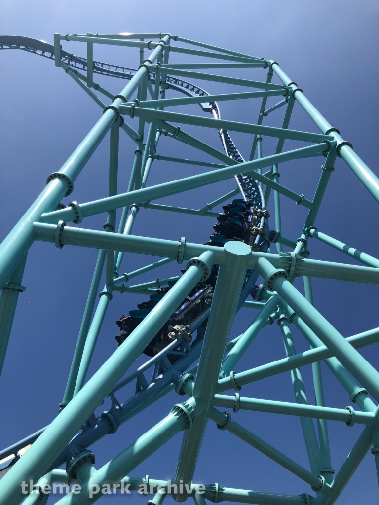 Electric Eel at SeaWorld San Diego