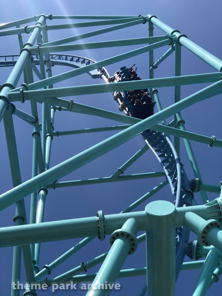 Electric Eel at SeaWorld San Diego