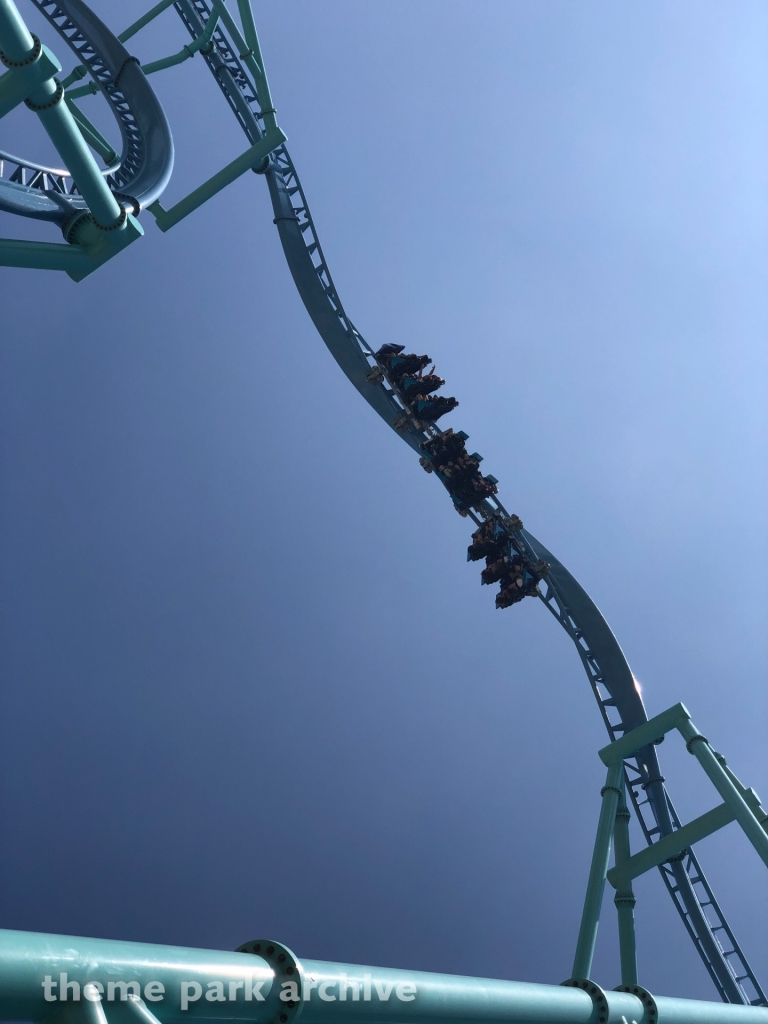 Electric Eel at SeaWorld San Diego