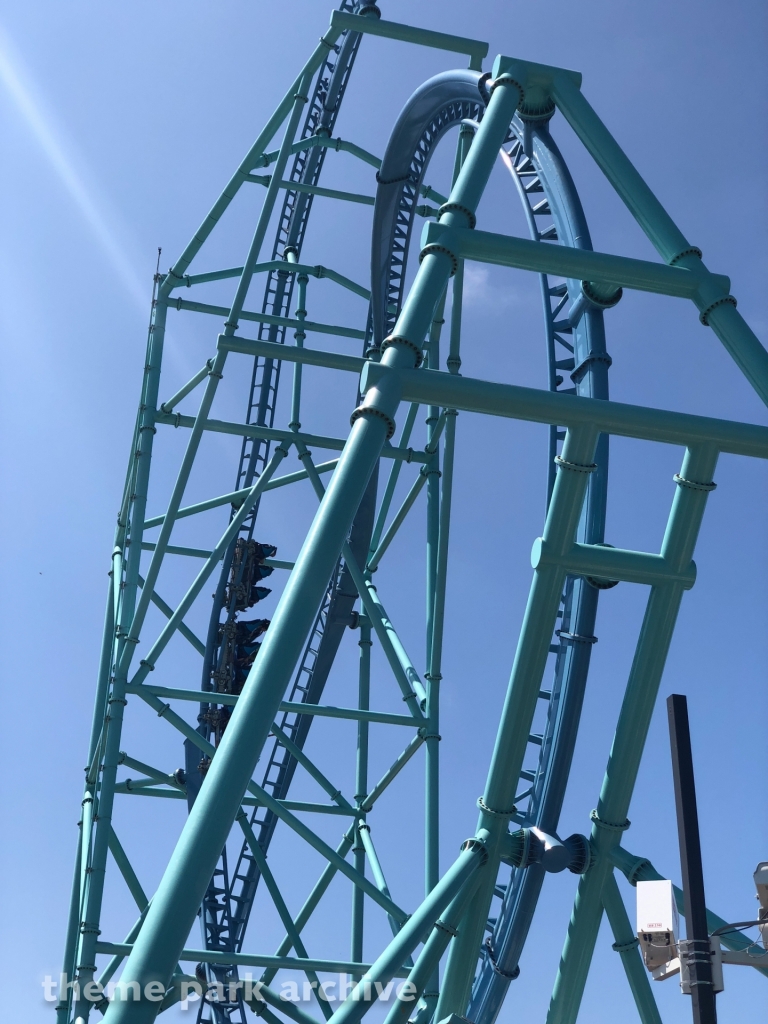 Electric Eel at SeaWorld San Diego