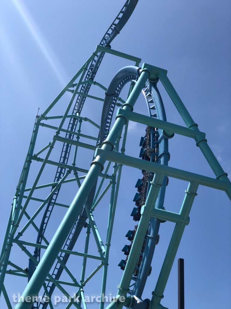 Electric Eel at SeaWorld San Diego