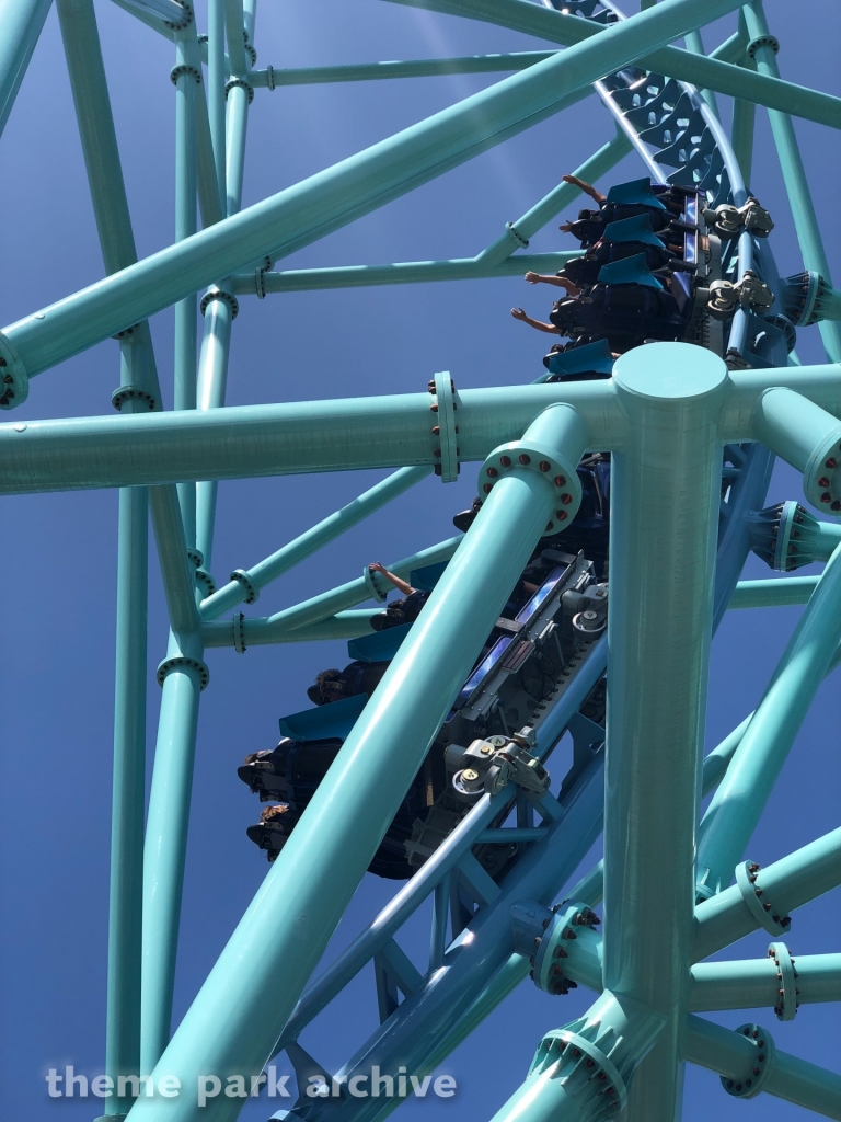 Electric Eel at SeaWorld San Diego