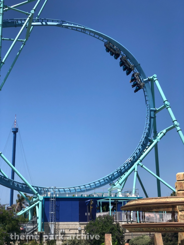 Electric Eel at SeaWorld San Diego