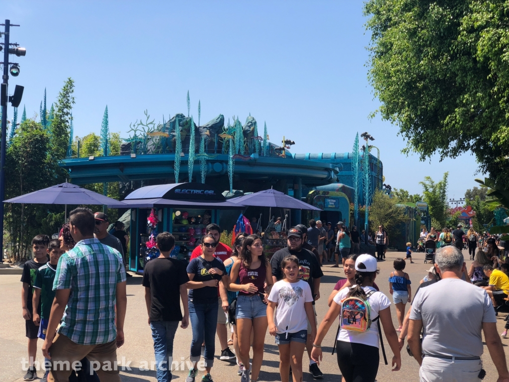 Electric Eel at SeaWorld San Diego