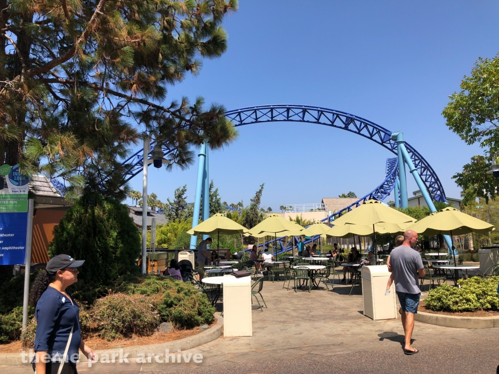 Manta at SeaWorld San Diego