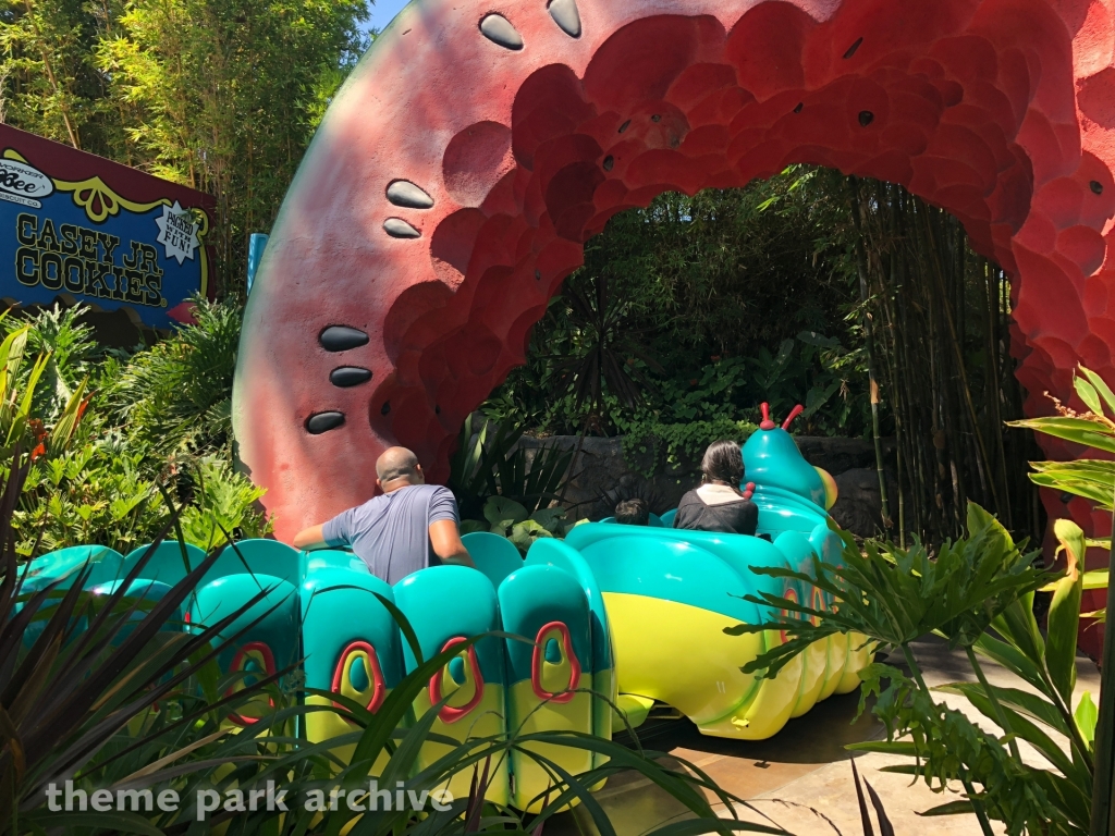 a bugs land at Downtown Disney Anaheim