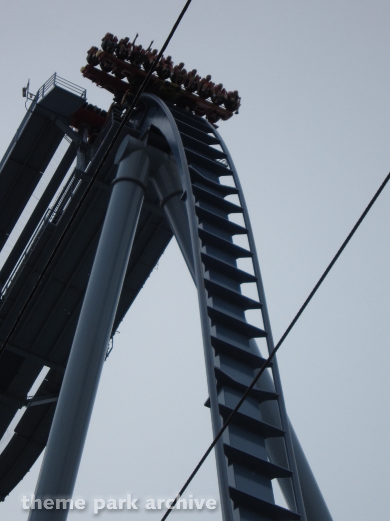 Griffon at Busch Gardens Williamsburg