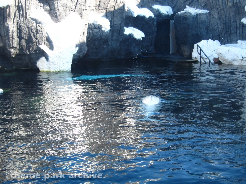 Wild Arctic at SeaWorld San Diego