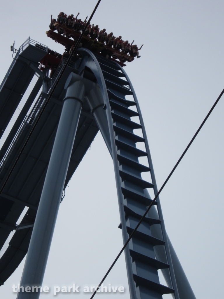 Griffon at Busch Gardens Williamsburg