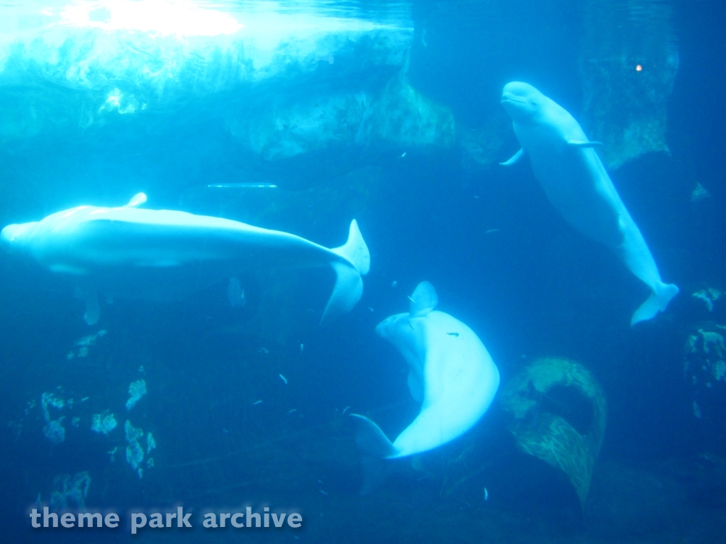 Wild Arctic at SeaWorld San Diego