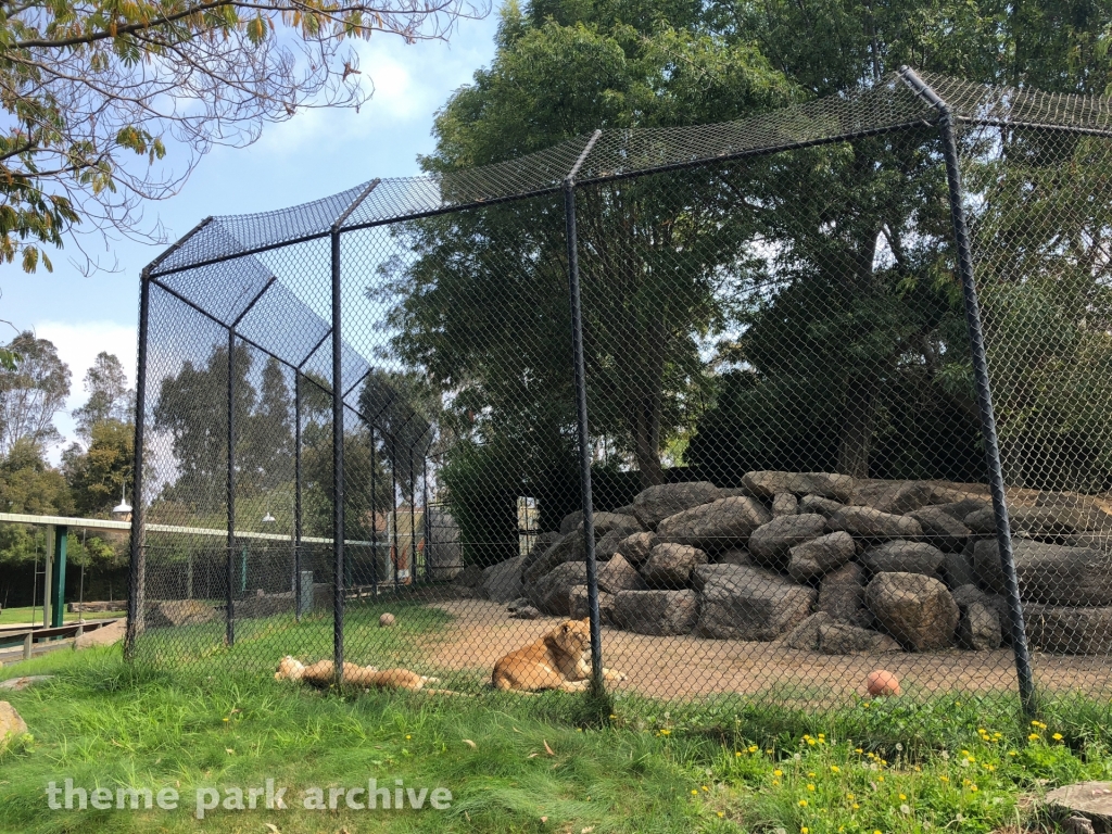 Misc at Six Flags Discovery Kingdom