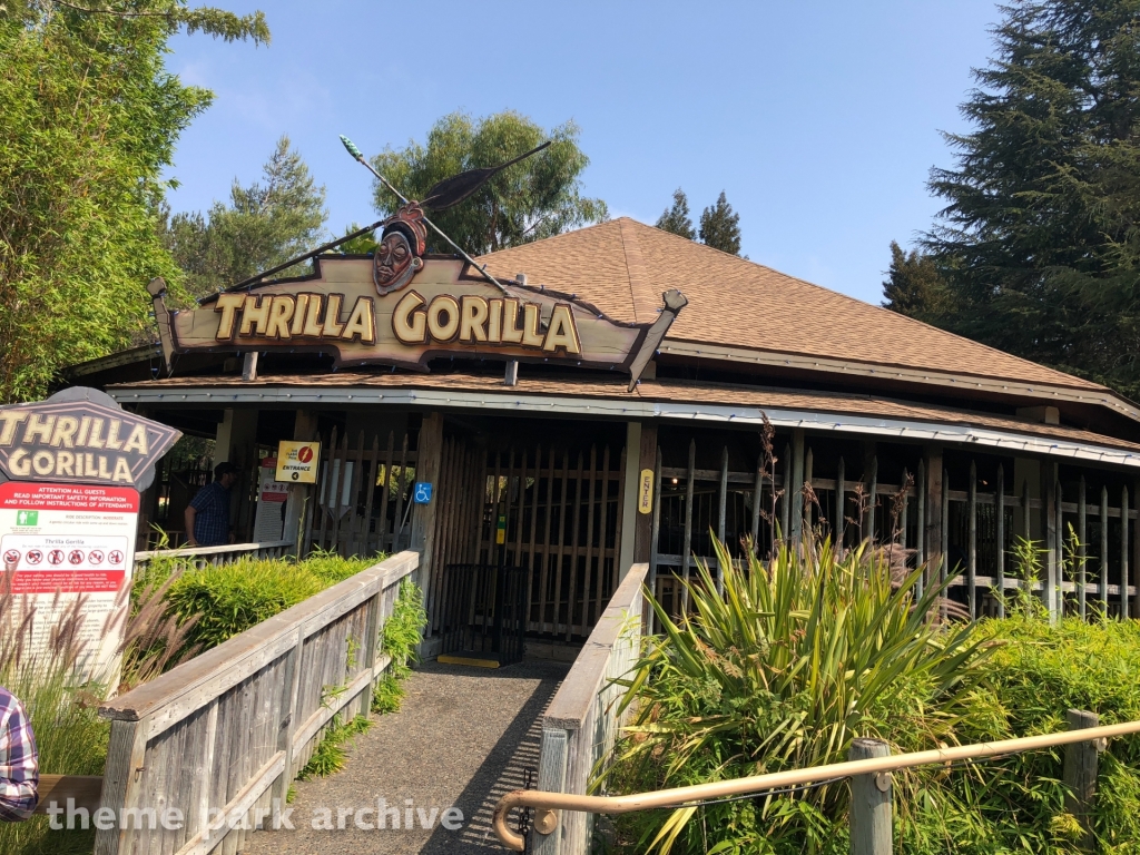Thrilla Gorilla at Six Flags Discovery Kingdom