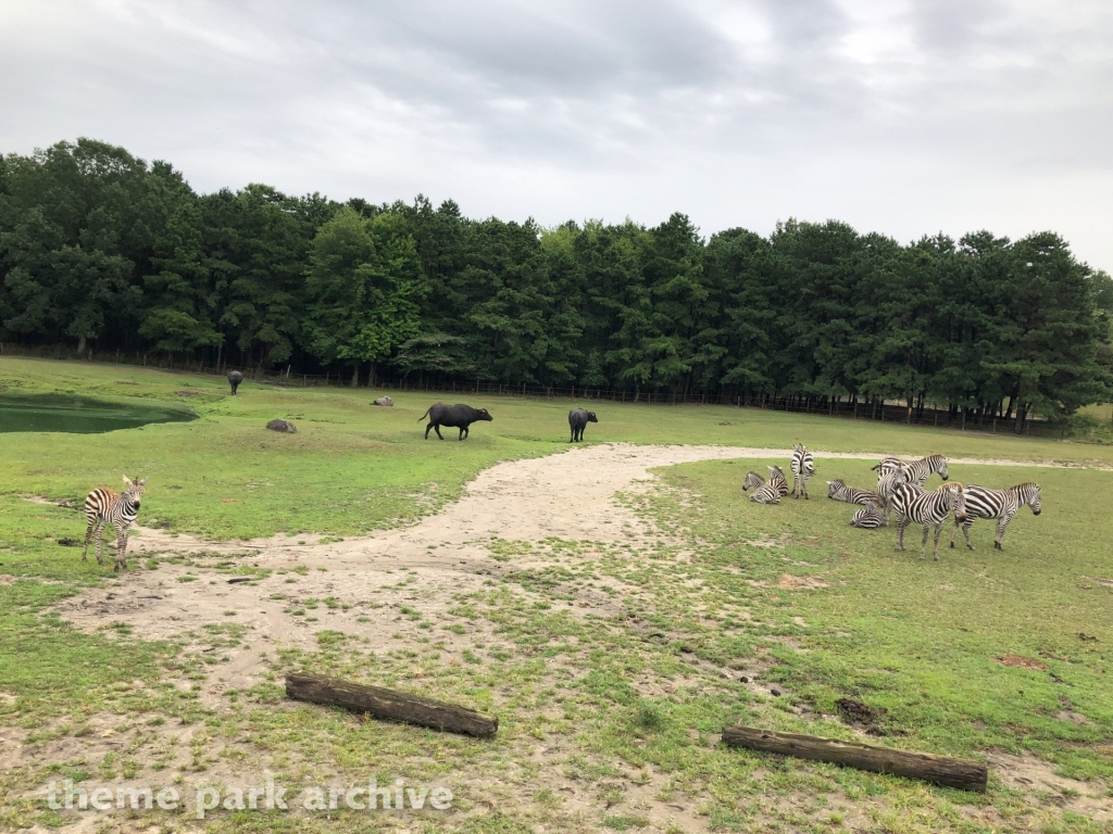Safari Off Road Adventure at Six Flags Great Adventure