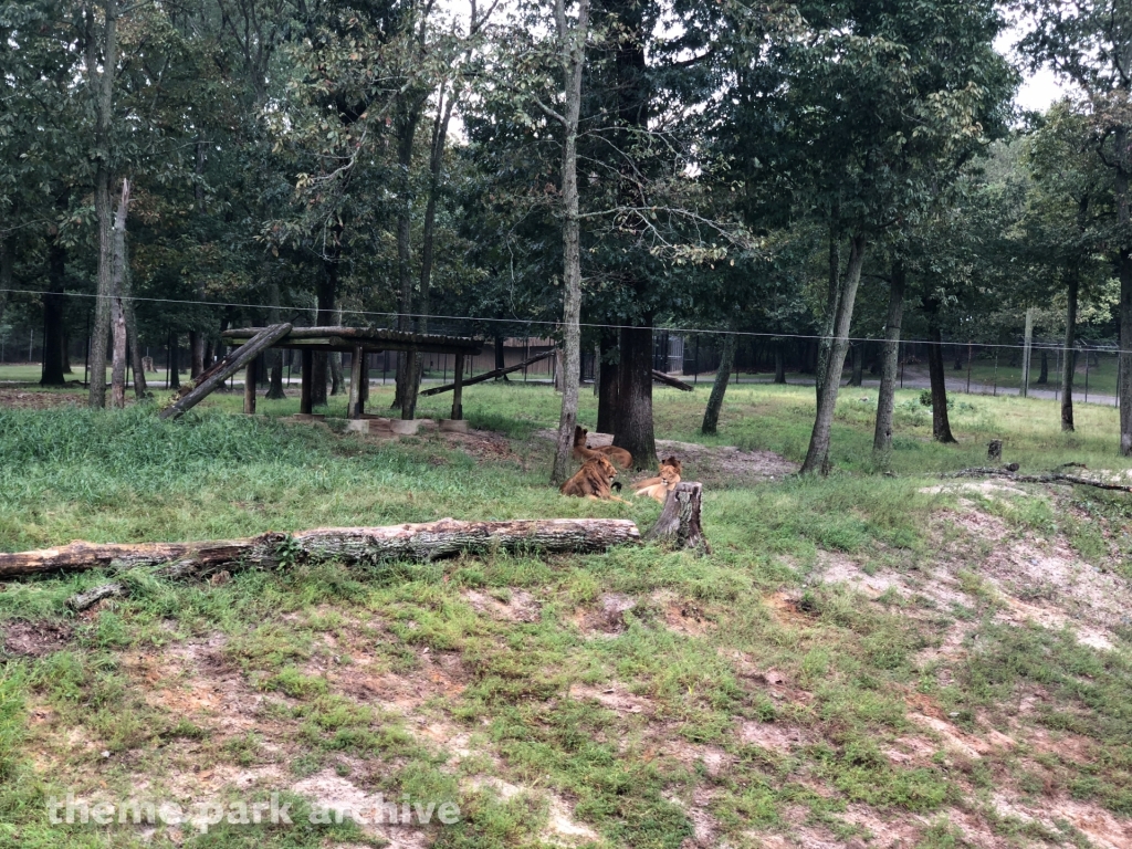 Safari Off Road Adventure at Six Flags Great Adventure