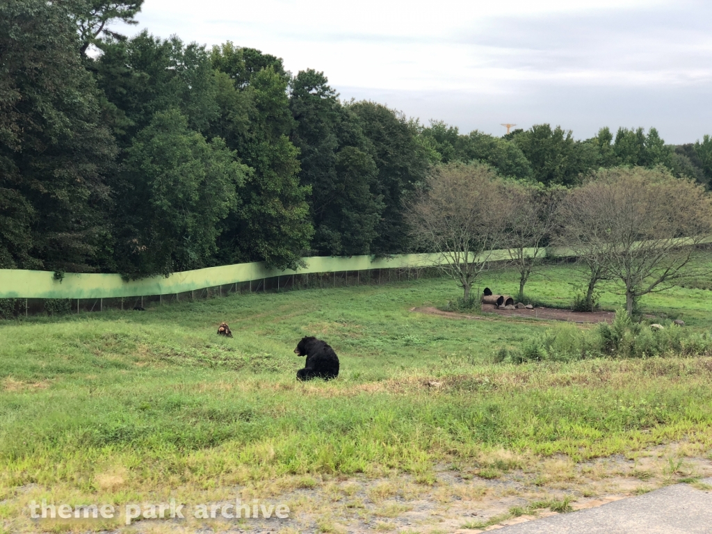 Safari Off Road Adventure at Six Flags Great Adventure