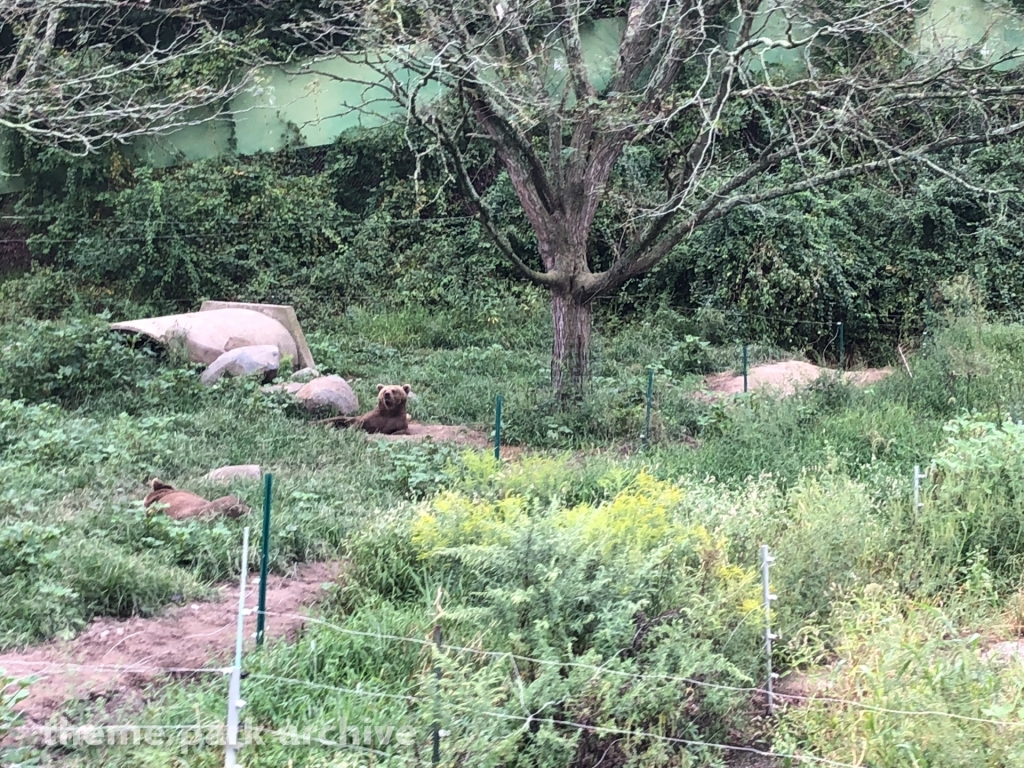 Safari Off Road Adventure at Six Flags Great Adventure