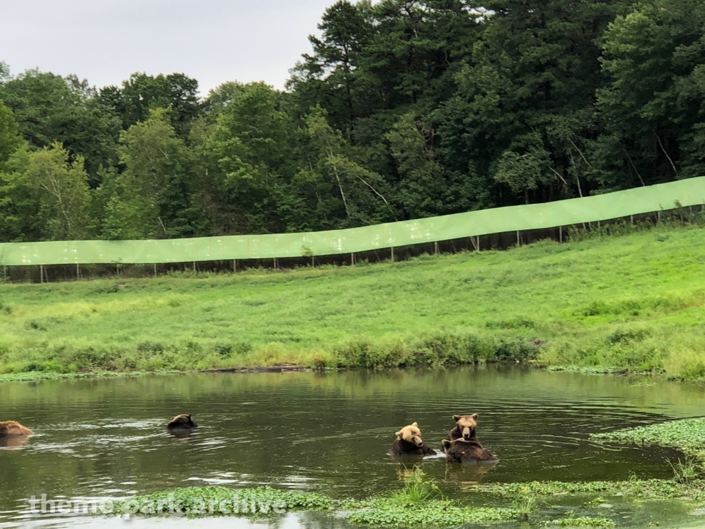 Safari Off Road Adventure at Six Flags Great Adventure