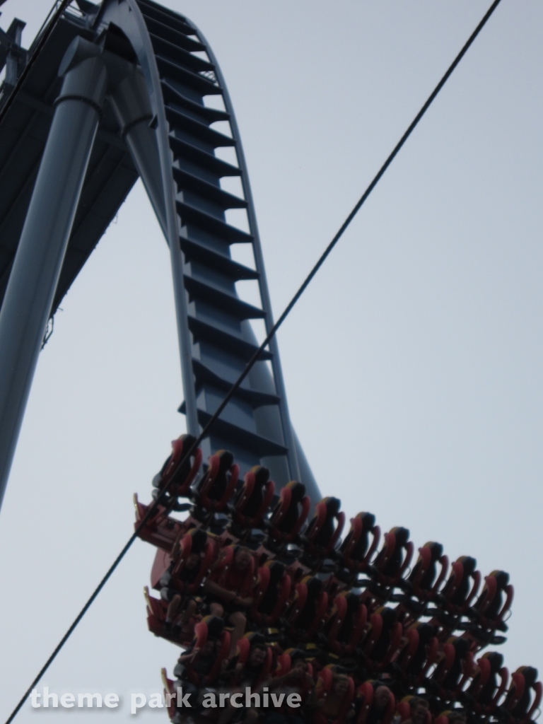 Griffon at Busch Gardens Williamsburg
