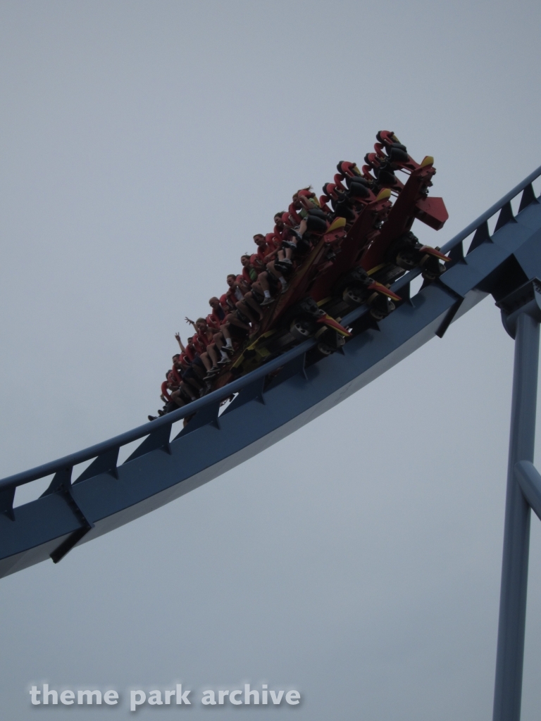 Griffon at Busch Gardens Williamsburg