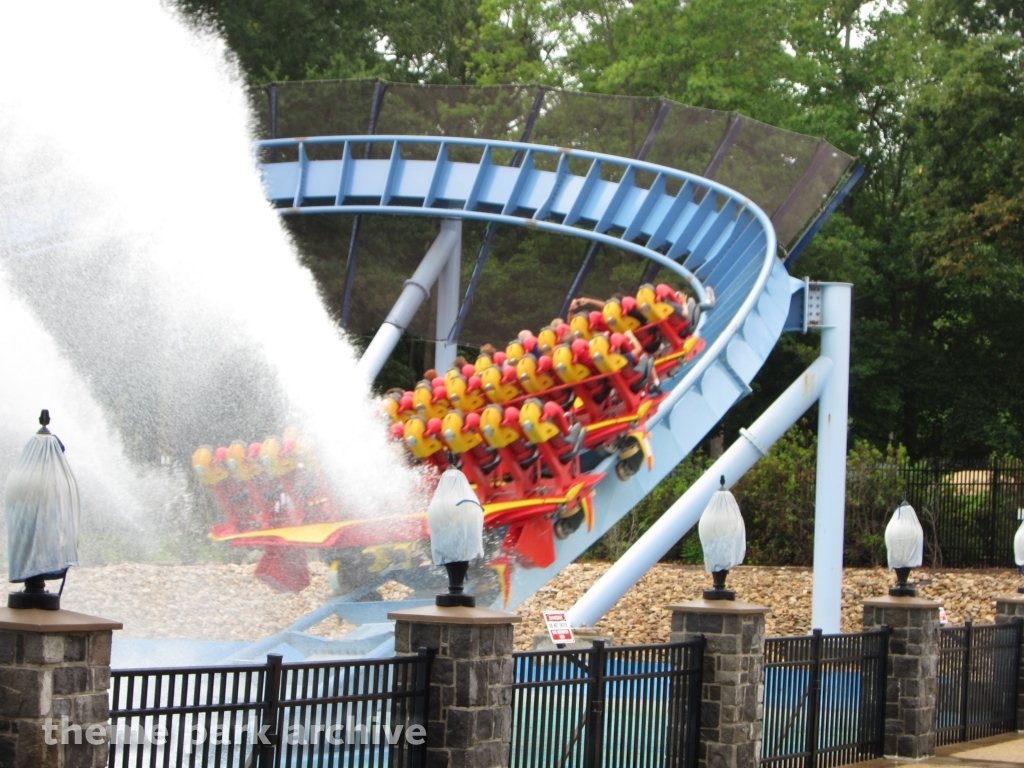 Griffon at Busch Gardens Williamsburg