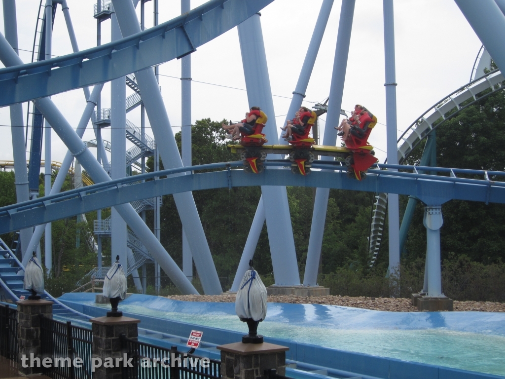 Griffon at Busch Gardens Williamsburg