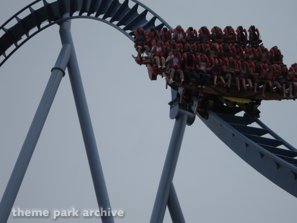 Griffon at Busch Gardens Williamsburg