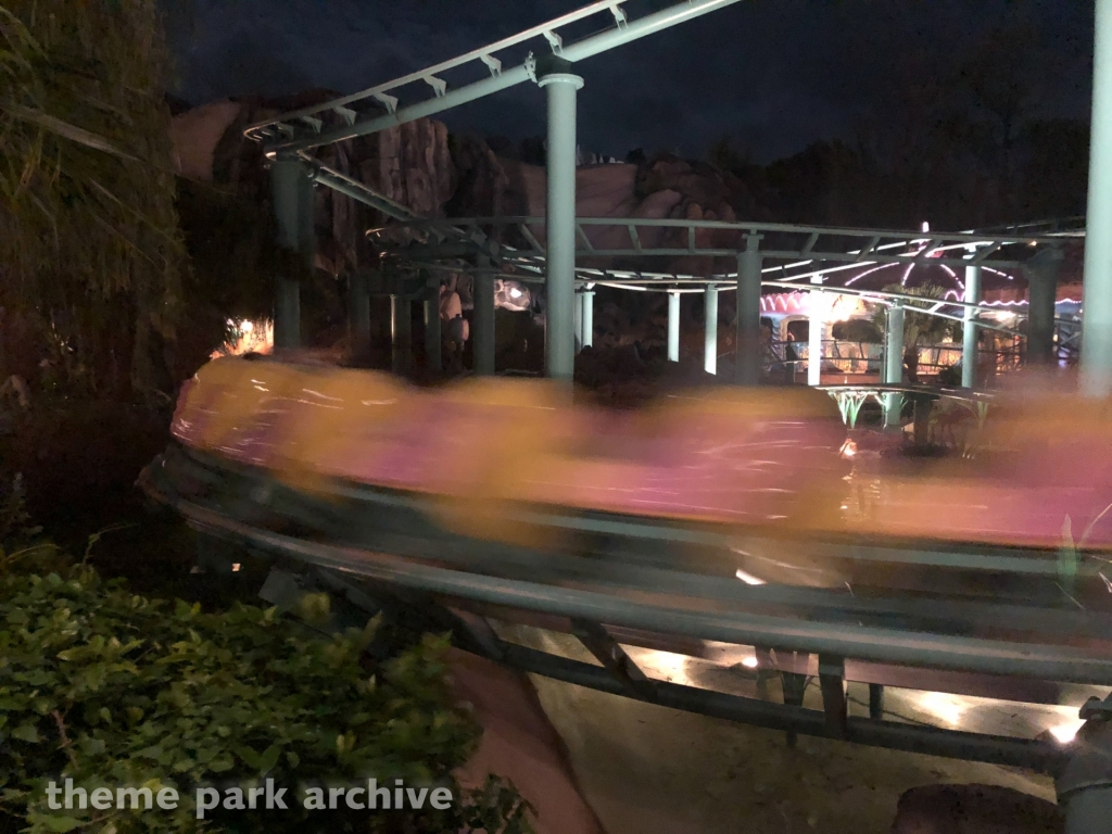 Flounder's Flying Fish Coaster at Tokyo Disney Resort