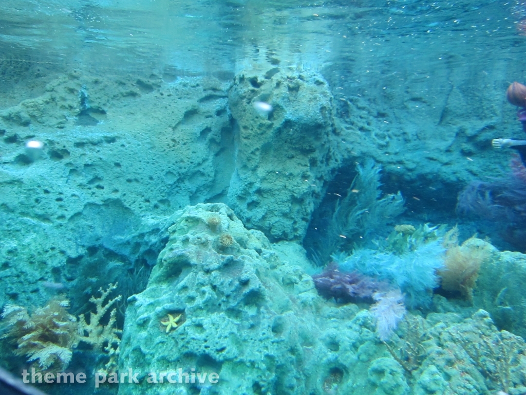 Finding Nemo Submarine Voyage at Disney California Adventure