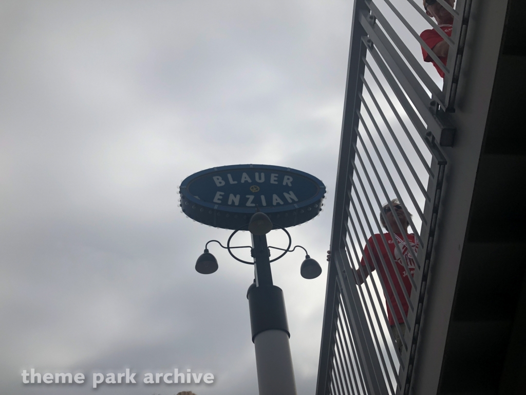 Blauer Enzian at Toshimaen