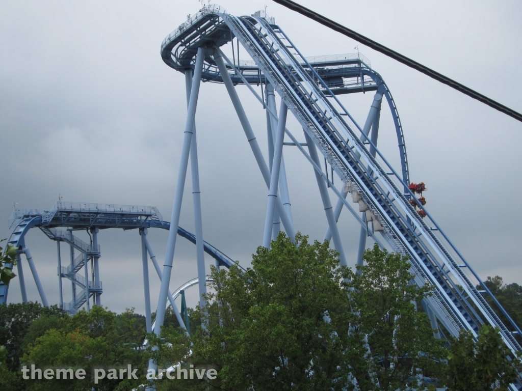 Griffon at Busch Gardens Williamsburg