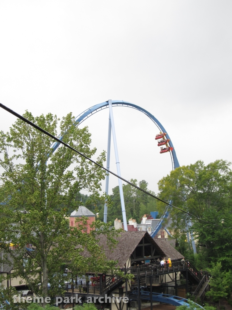 Griffon at Busch Gardens Williamsburg