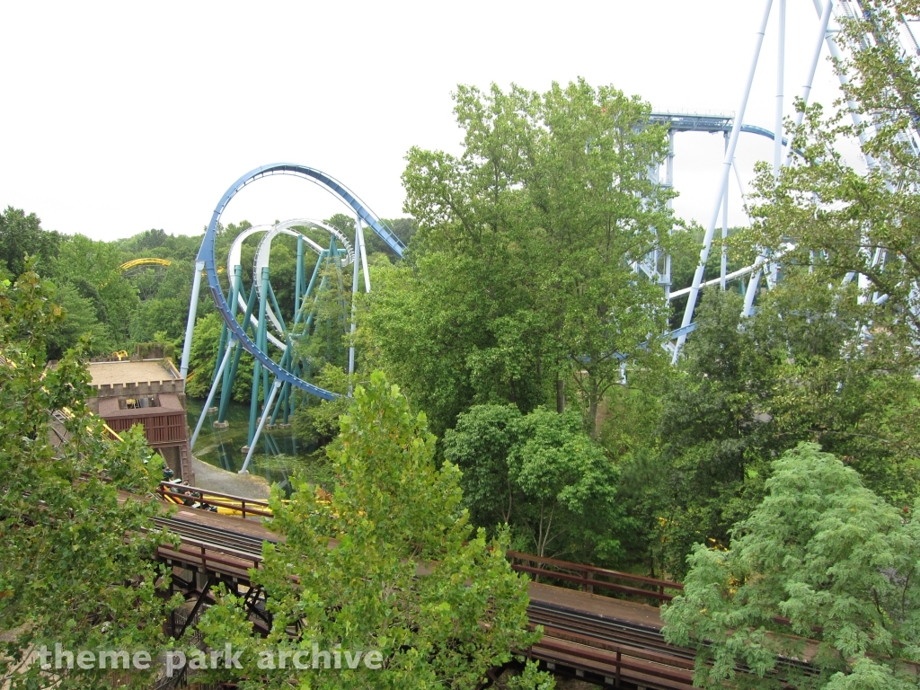 Griffon at Busch Gardens Williamsburg