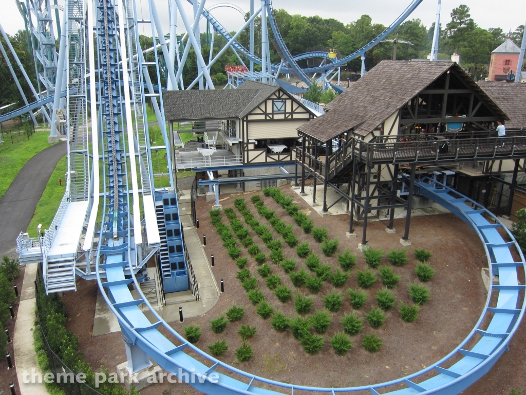 Griffon at Busch Gardens Williamsburg