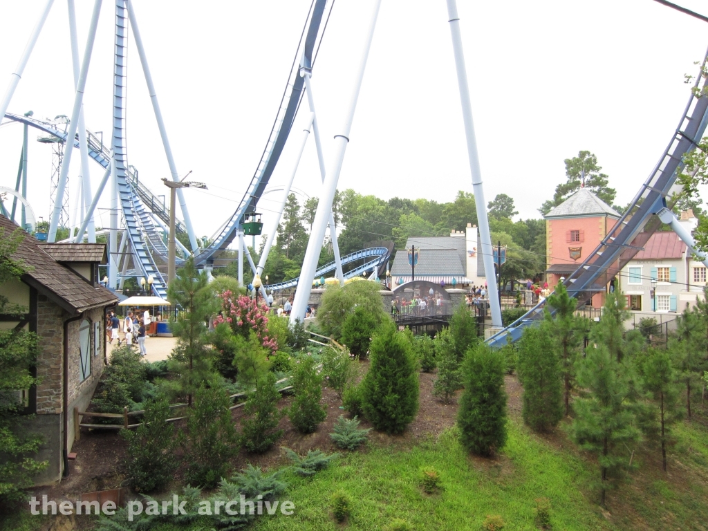 Griffon at Busch Gardens Williamsburg