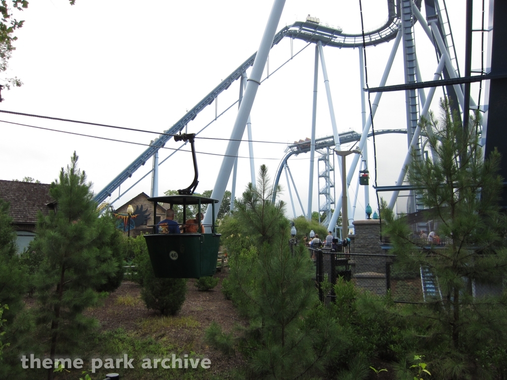 Griffon at Busch Gardens Williamsburg