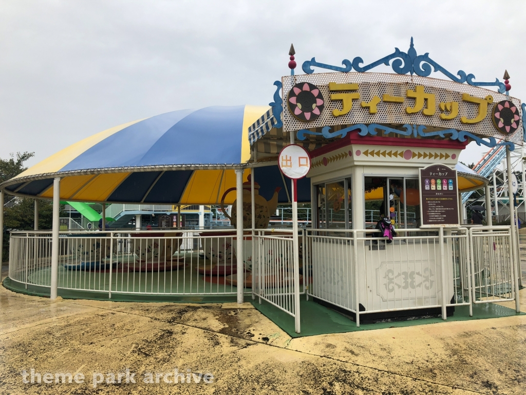 Tea Cup at Higashiyama Zoo and Botanical Gardens