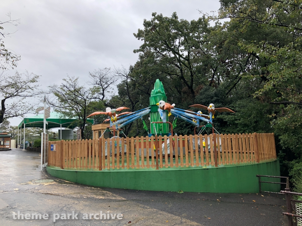 Flying Eagle at Higashiyama Zoo and Botanical Gardens