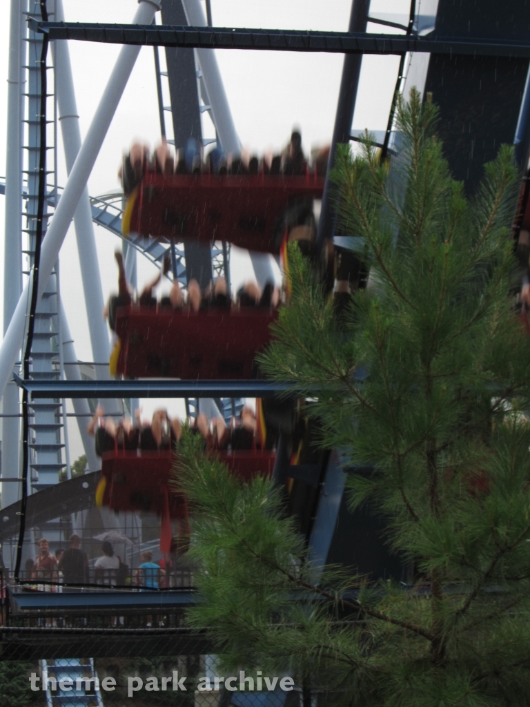 Griffon at Busch Gardens Williamsburg
