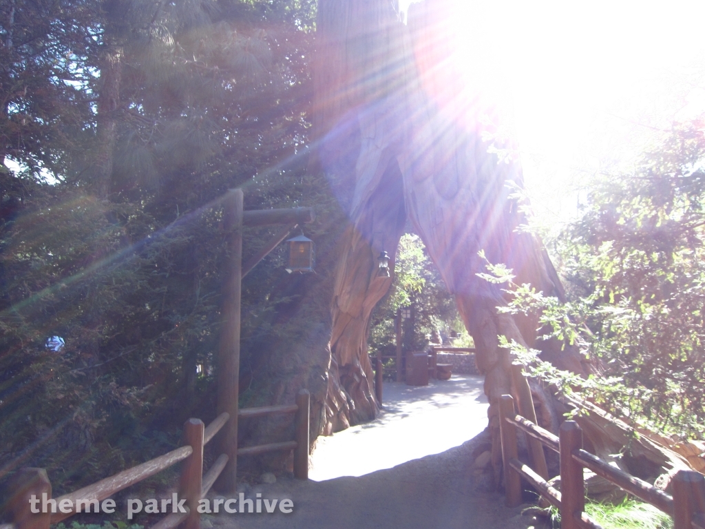 Redwood Creek Challenge Trail at Disney California Adventure