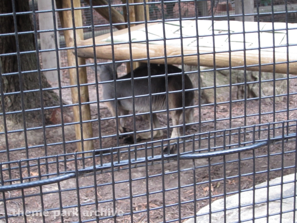 Jack Hanna's Wild Reserve at Busch Gardens Williamsburg