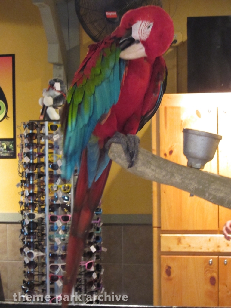 Jack Hanna's Wild Reserve at Busch Gardens Williamsburg