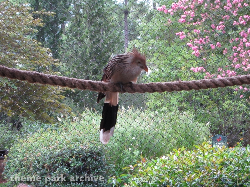 Jack Hanna's Wild Reserve at Busch Gardens Williamsburg