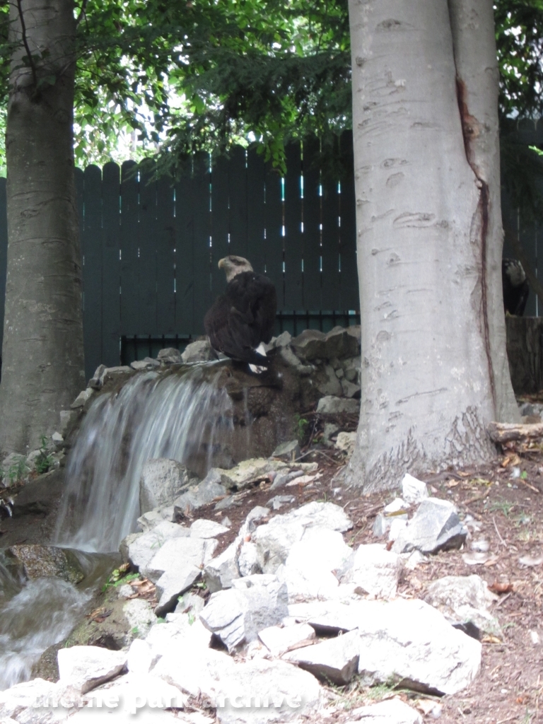 Jack Hanna's Wild Reserve at Busch Gardens Williamsburg