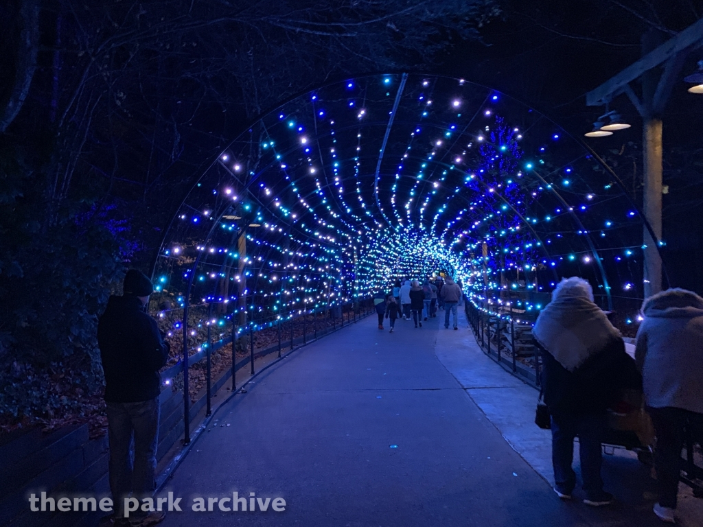 Timber Canyon at Dollywood